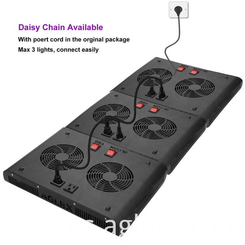 Grow Light Daisy Chain Grow Light Daisy Chain